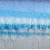 Blue Mullet